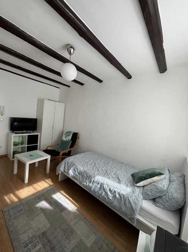 Cozy In Altstadt Apartment